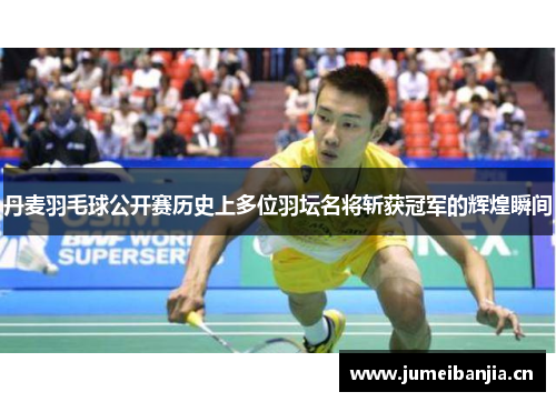 丹麦羽毛球公开赛历史上多位羽坛名将斩获冠军的辉煌瞬间 丹麦羽毛球公开赛历史上多位羽坛名将斩获冠军的辉煌瞬间