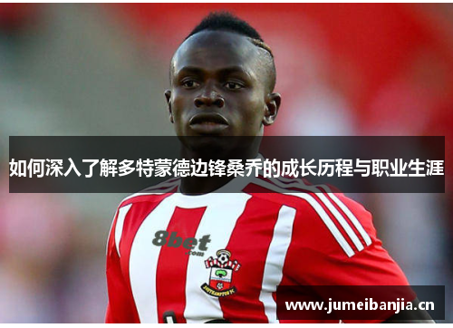 如何深入了解多特蒙德边锋桑乔的成长历程与职业生涯