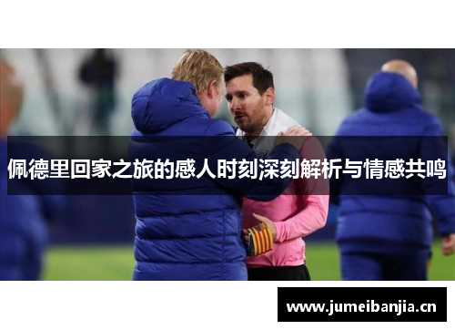 佩德里回家之旅的感人时刻深刻解析与情感共鸣