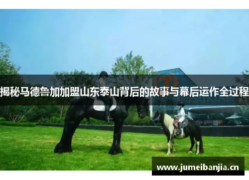 揭秘马德鲁加加盟山东泰山背后的故事与幕后运作全过程