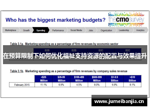 在预算限制下如何优化福祉支持资源的配置与效果提升 在预算限制下如何优化福祉支持资源的配置与效果提升
