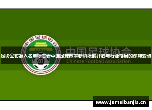 足协公布准入名单标志着中国足球改革新阶段的开启与行业格局的深刻变动