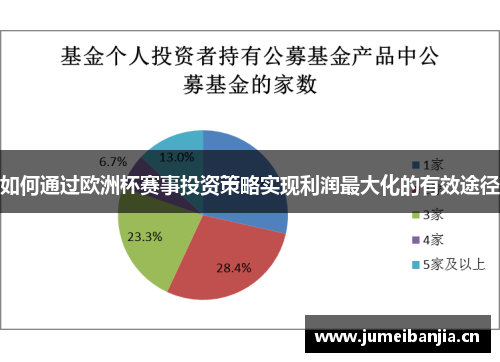 如何通过欧洲杯赛事投资策略实现利润最大化的有效途径